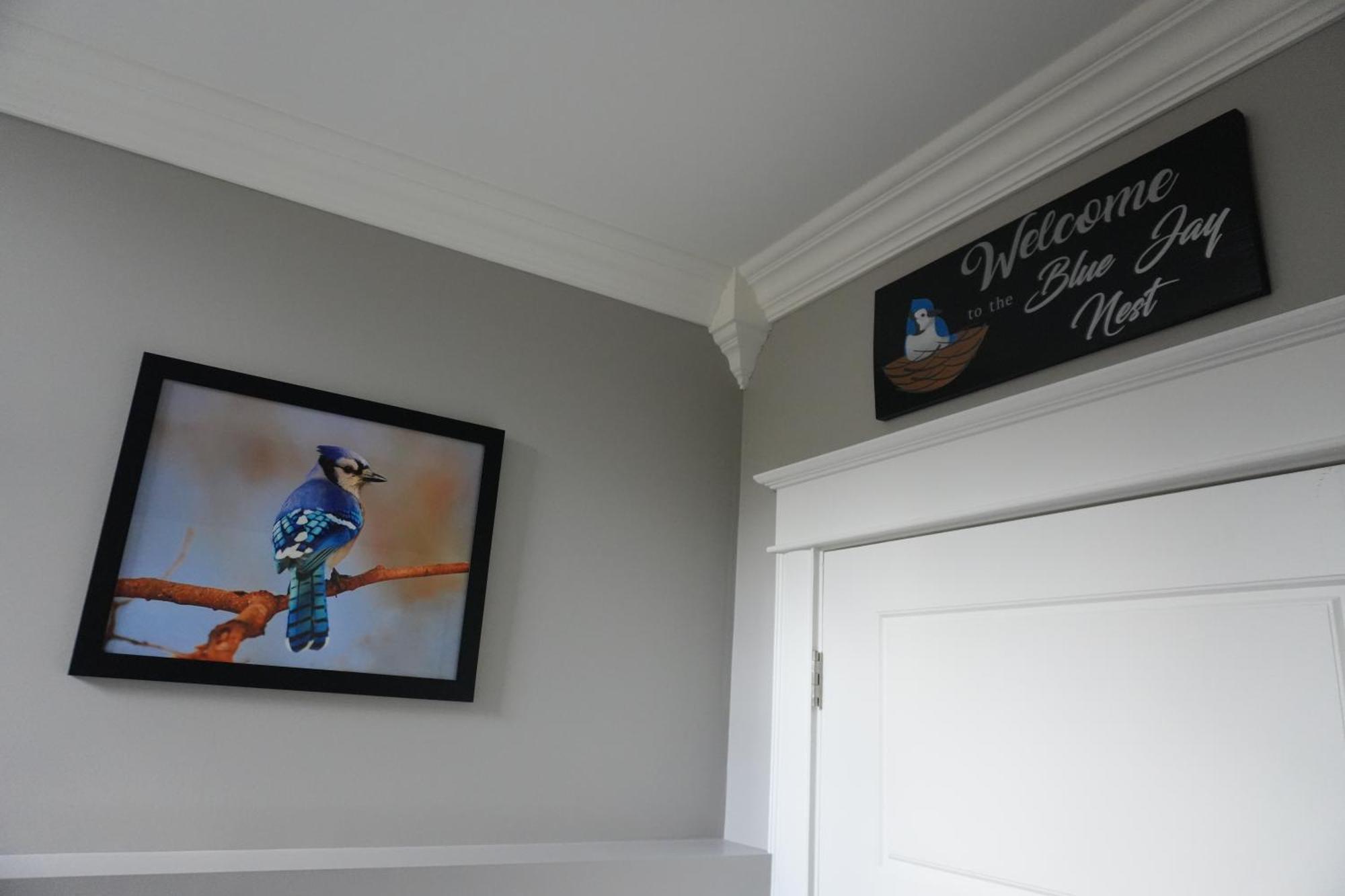 The Blue Jay Nest Apartment Topsail Exterior photo